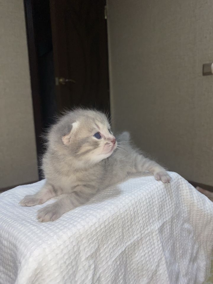 120 USD