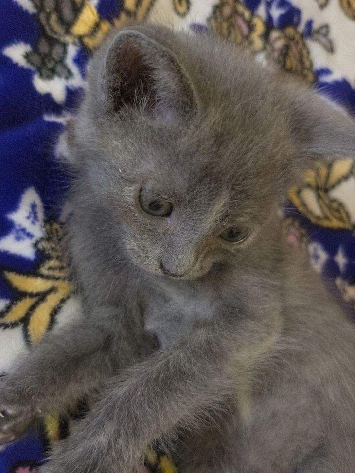 450 000 сум