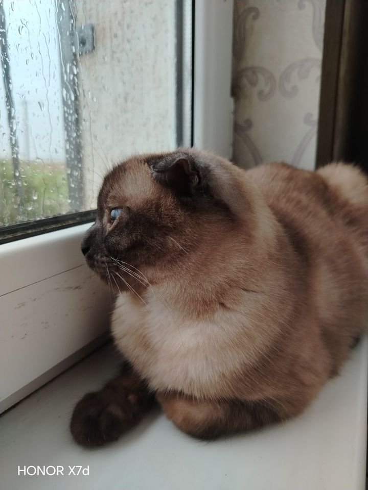 150 000 сум