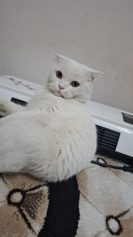 300 000 сум
