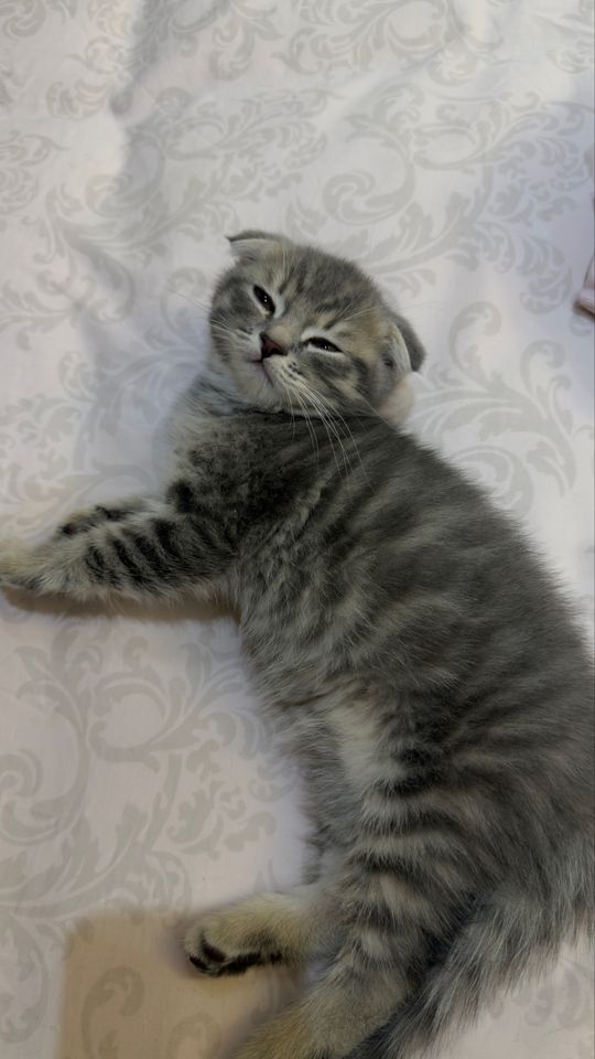 600 000 сум