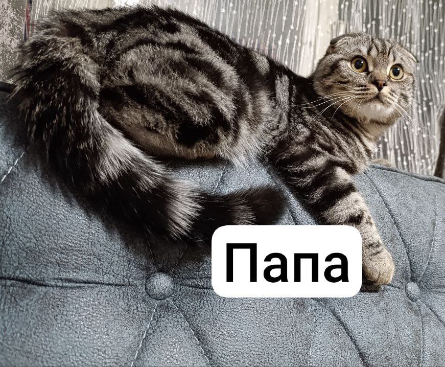 500 000 so'm