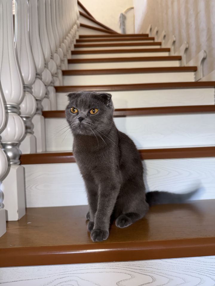 1 200 000 сум