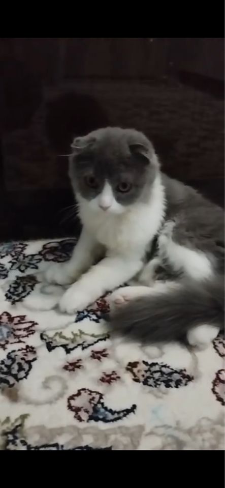 400 000 сум