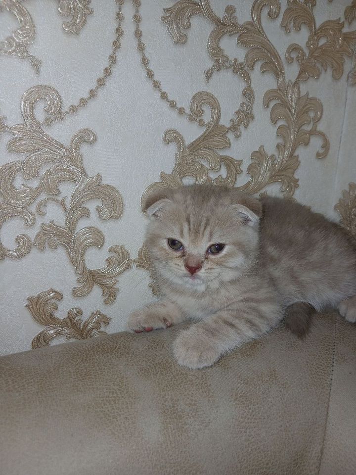 1 000 000 UZS