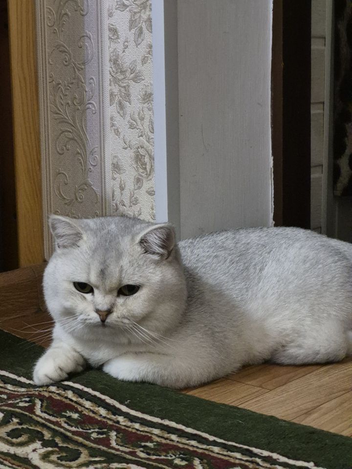 20 USD