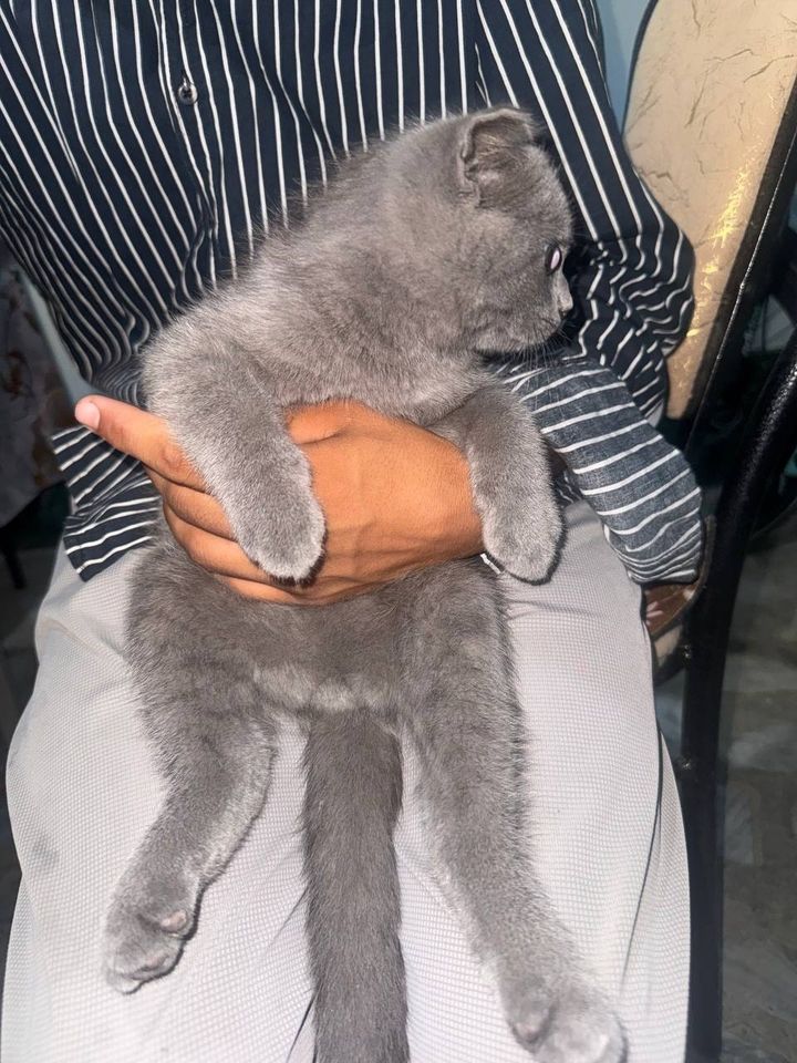 300 000 сум