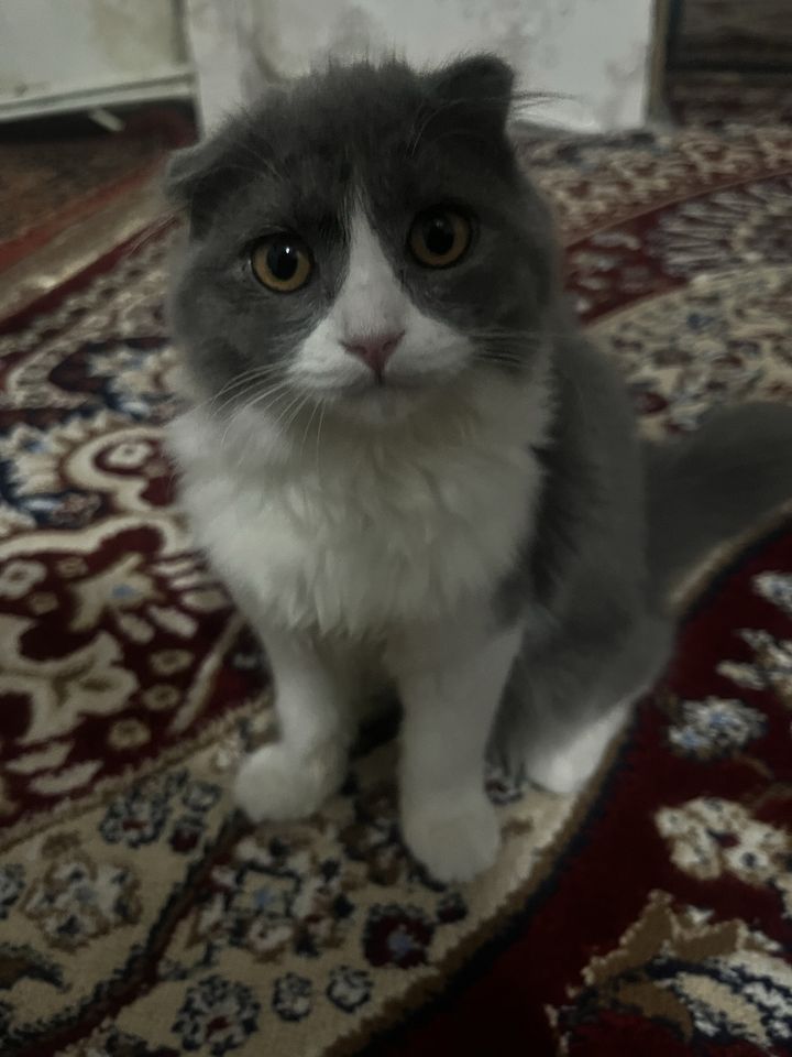 400 000 сум