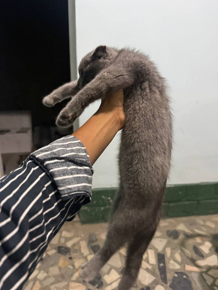 300 000 сум