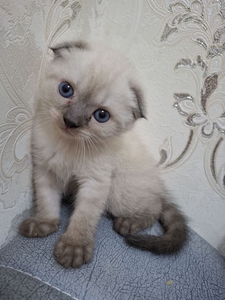 150 000 сум