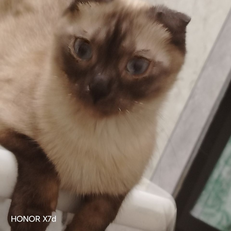 150 000 сум
