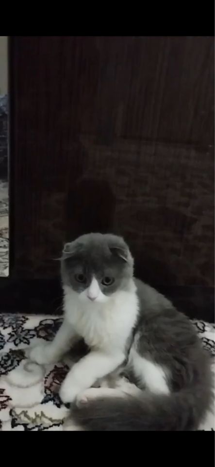 400 000 сум