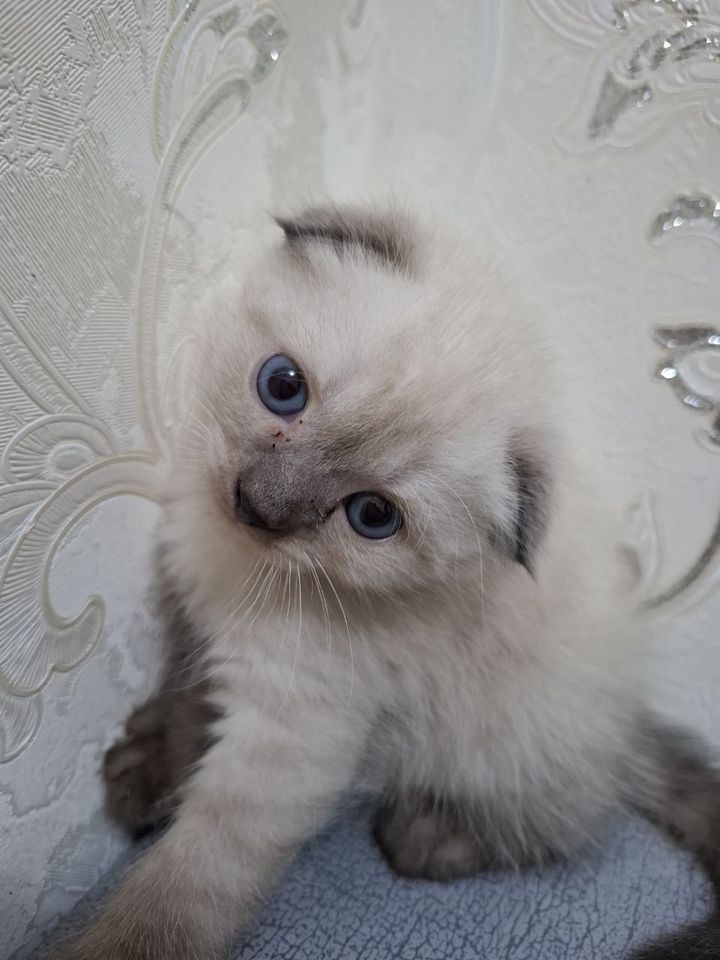 150 000 сум