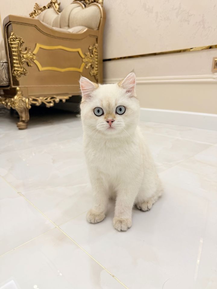 100 USD