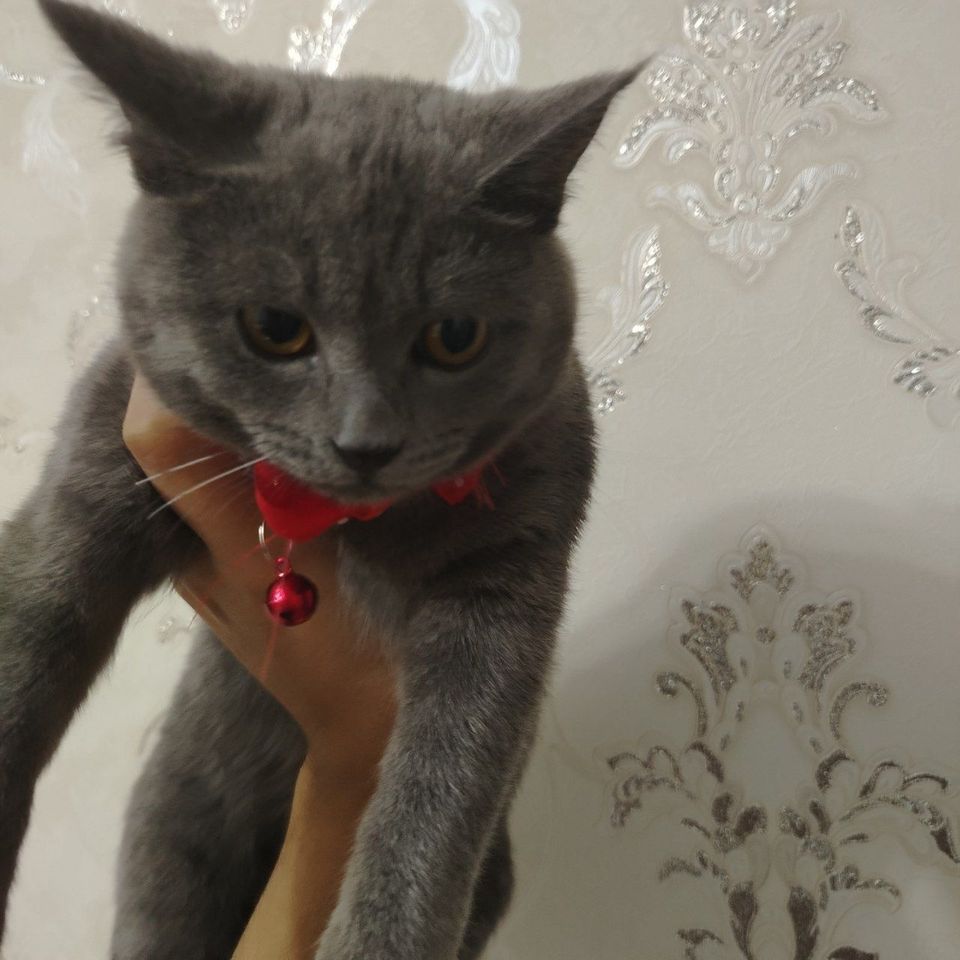 150 000 сум