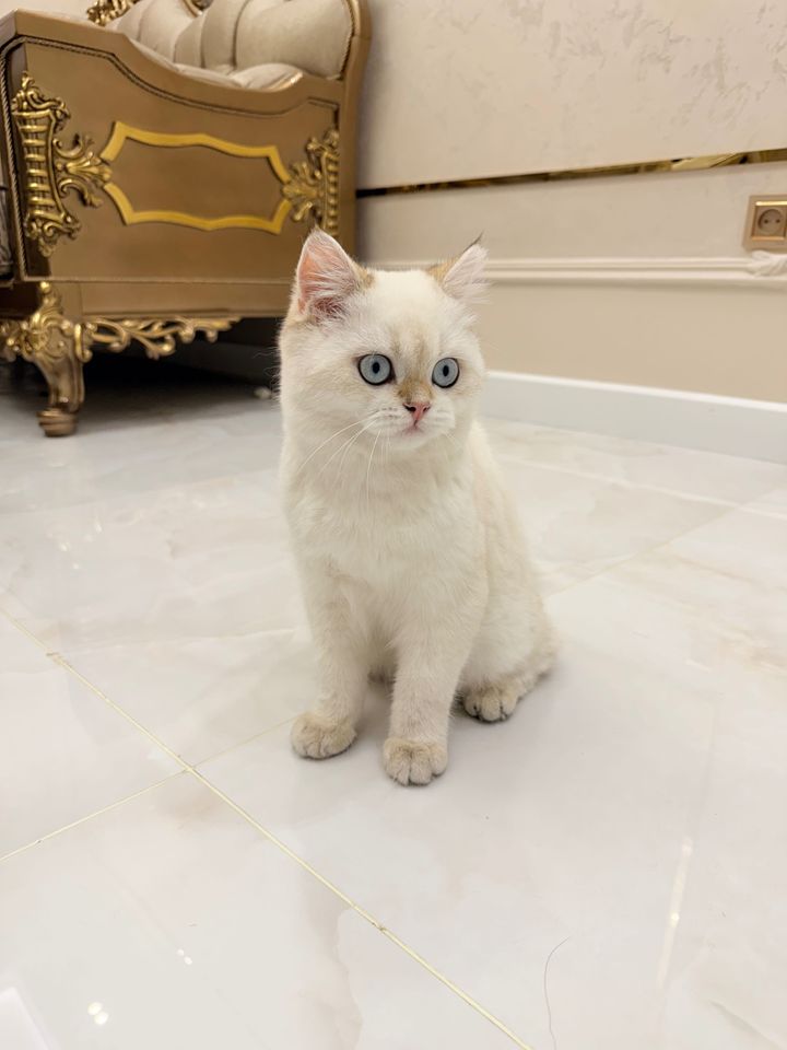 100 USD