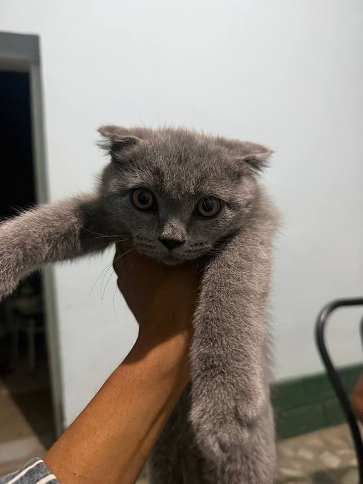 300 000 сум