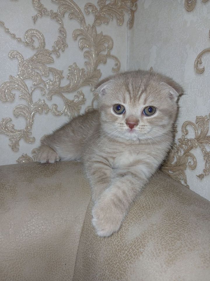 1 000 000 UZS