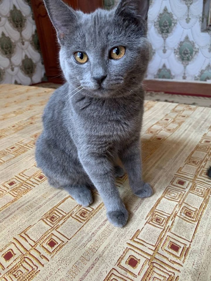 150 000 сум