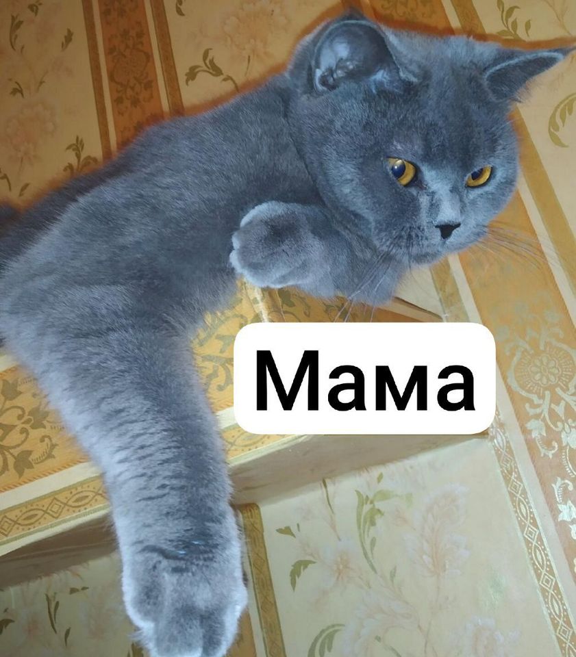 500 000 so'm