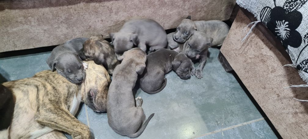 100 USD