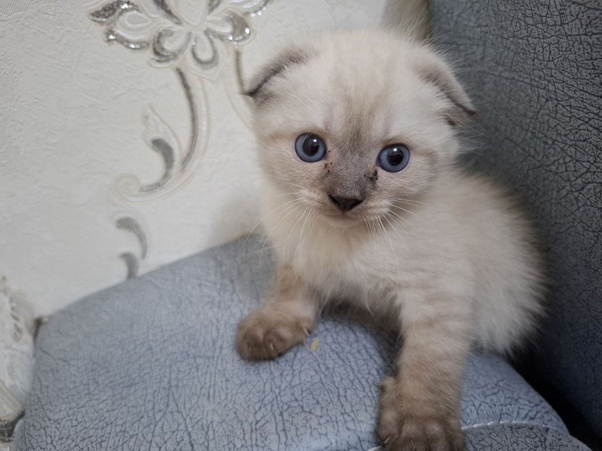 150 000 сум