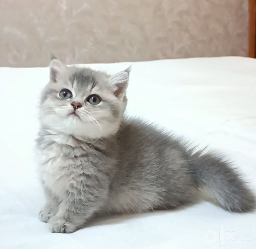 500 USD