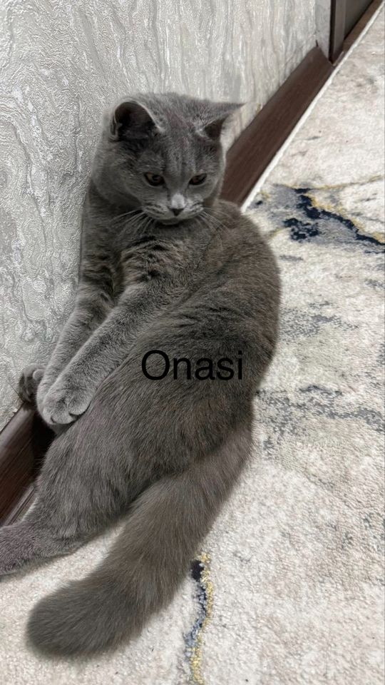 100 USD