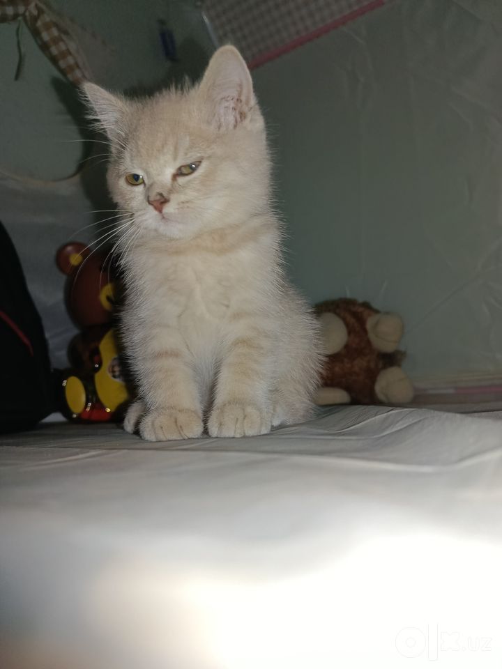 1 000 000 сум