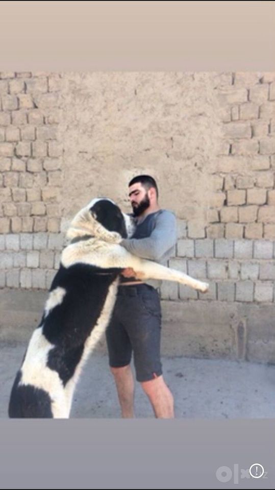 150 USD