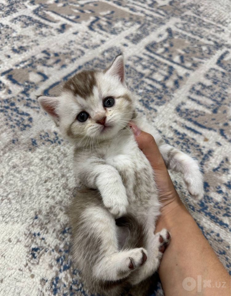 120 USD