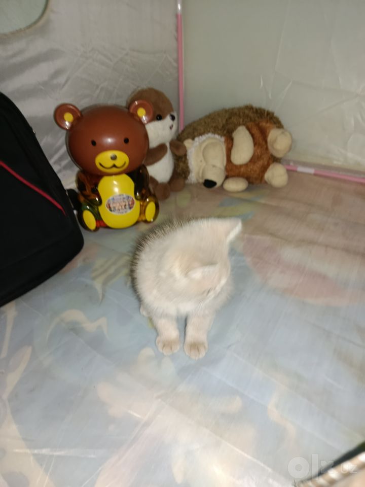 1 000 000 сум