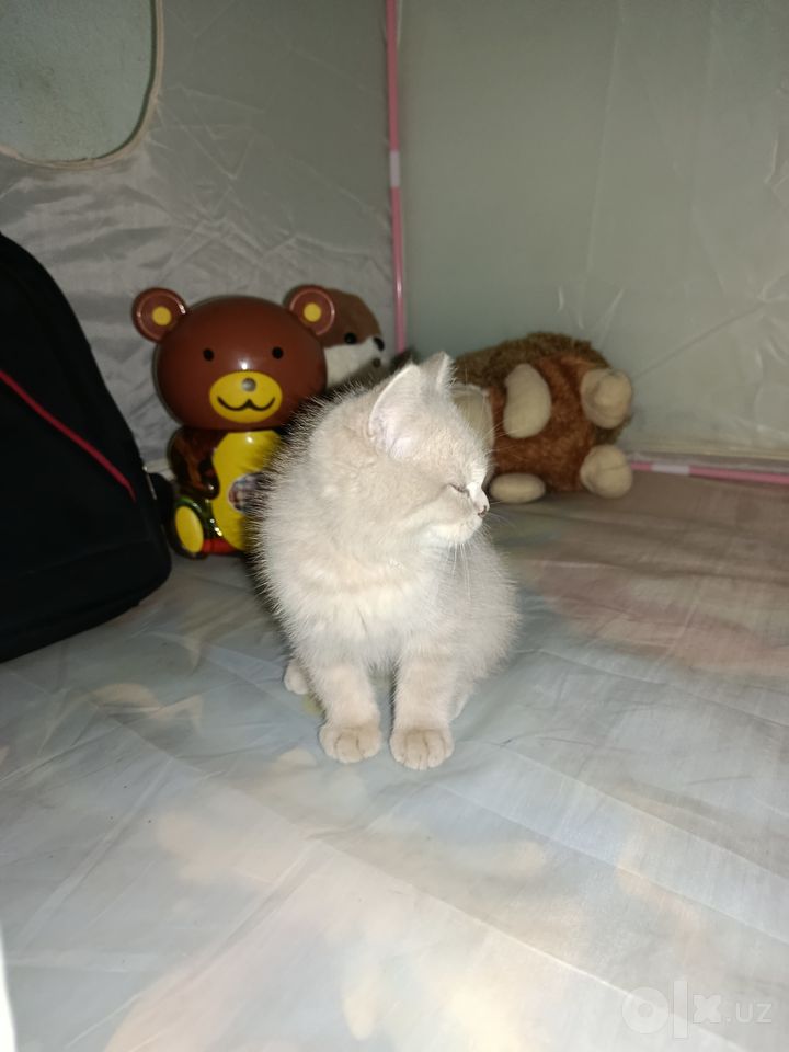 1 000 000 сум