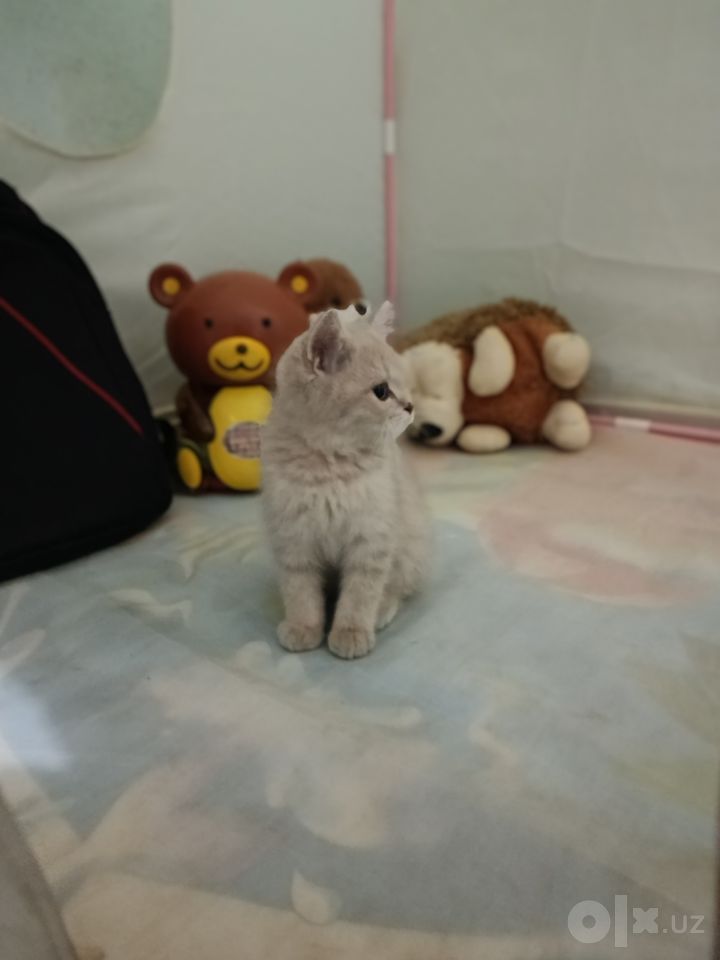 1 000 000 сум