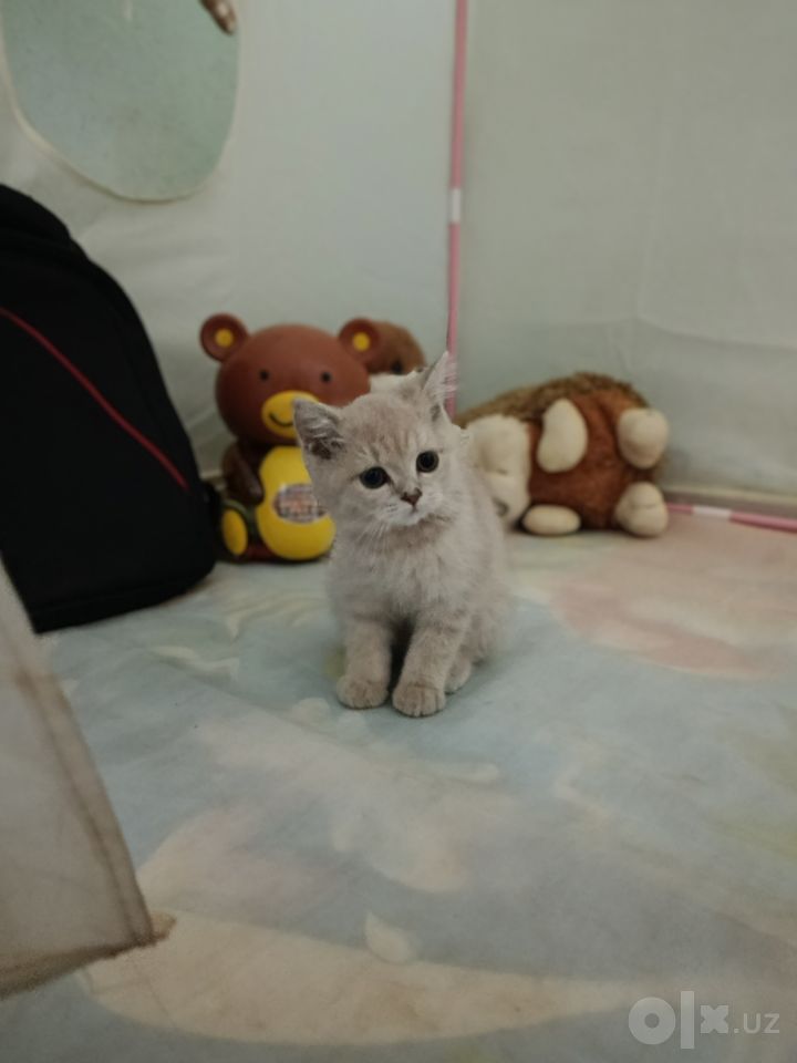 1 000 000 сум