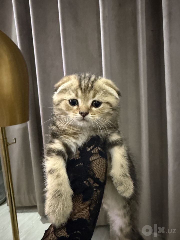 130 USD