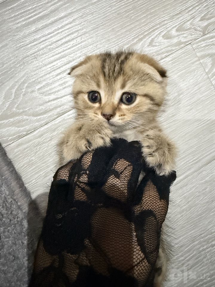 130 USD