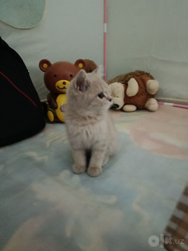 1 000 000 сум