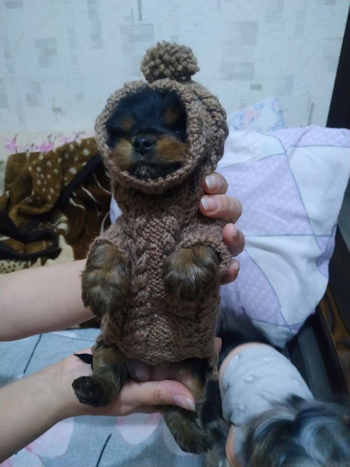 80 000 сум