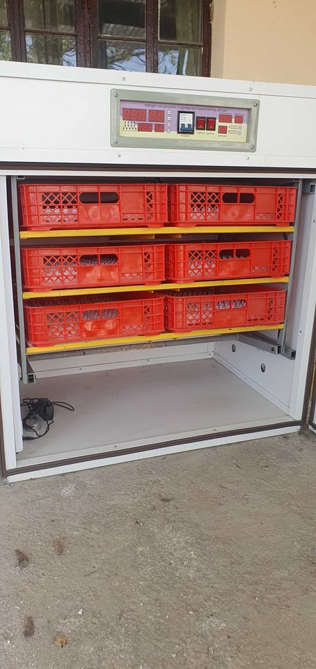 650 USD