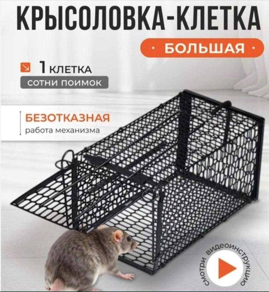 250 000 so'm