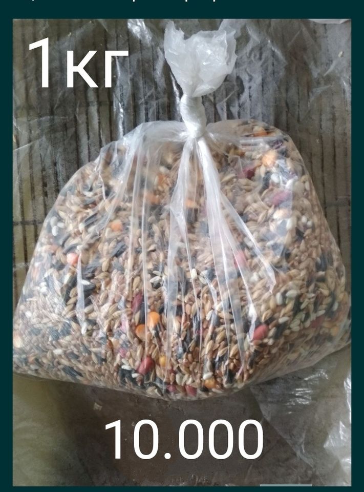 160 000 UZS