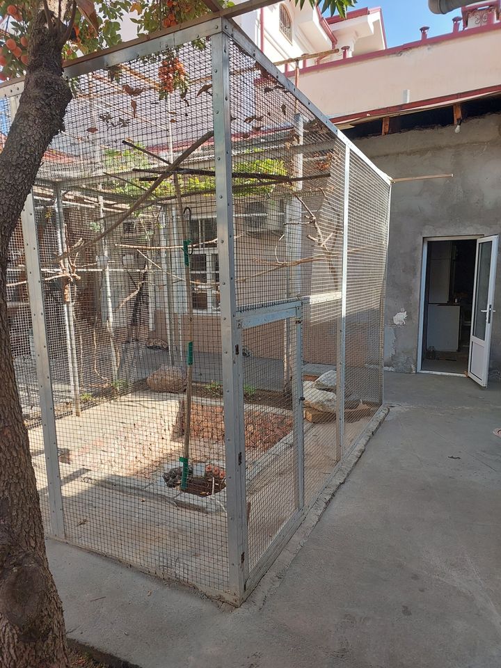 800 USD