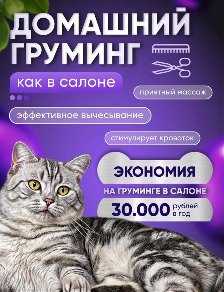50 000 сум