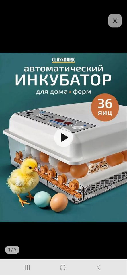 620 000 сум