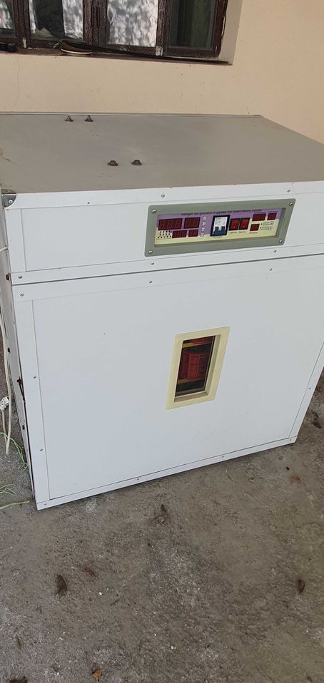 650 USD