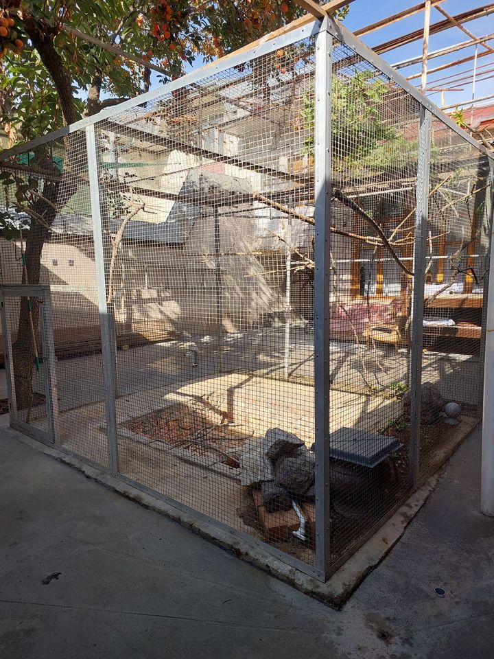 800 USD