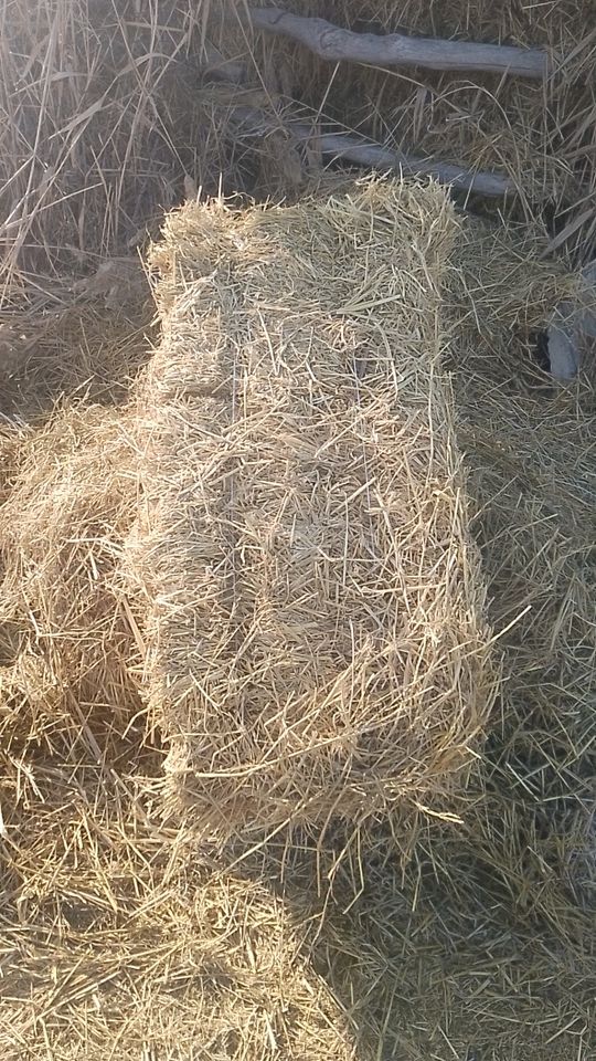 9 000 сум