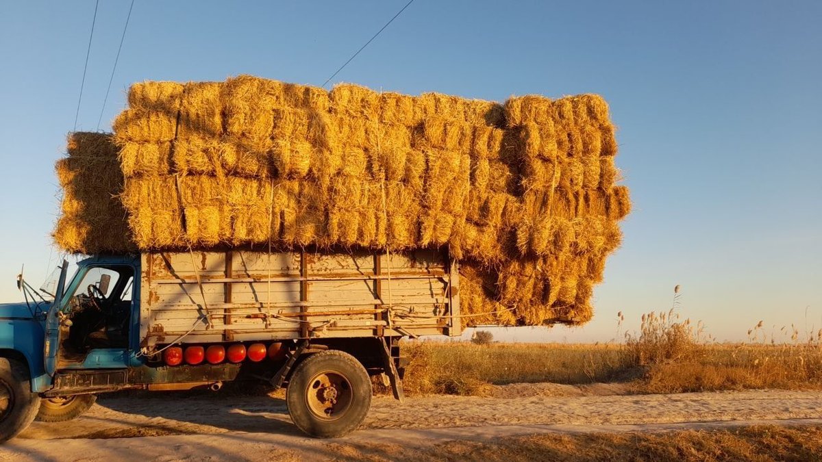 15 000 сум