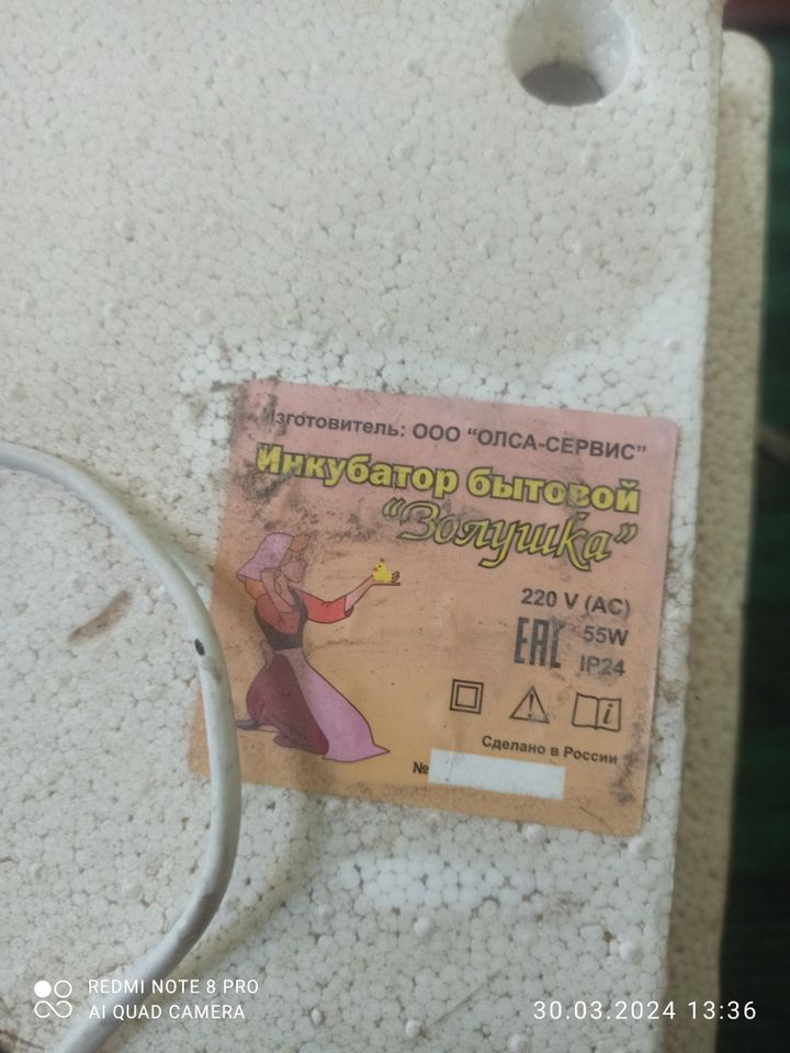 100 USD